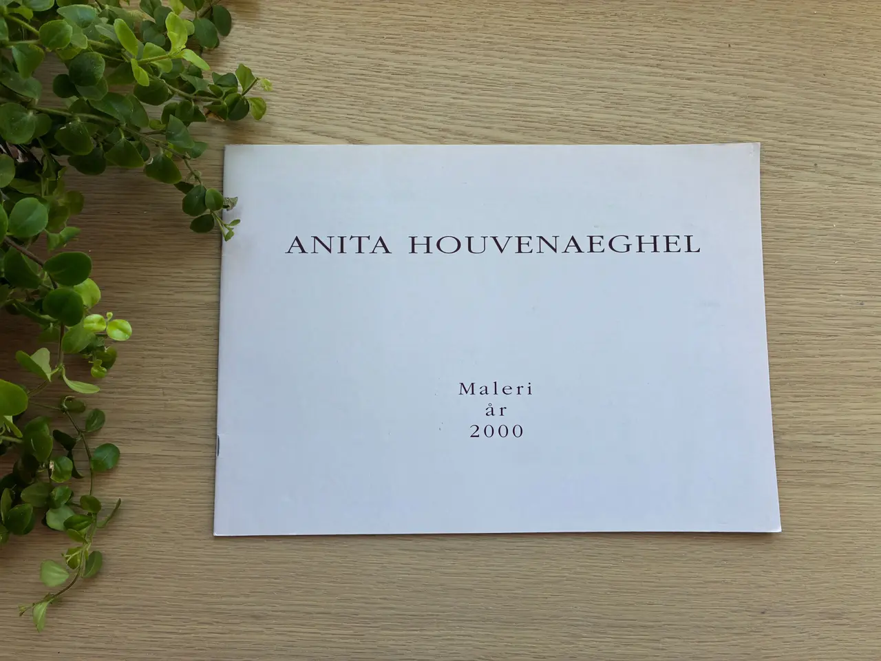 Billede 1 - Anita Houvenaeghel:   Maleri år 2000