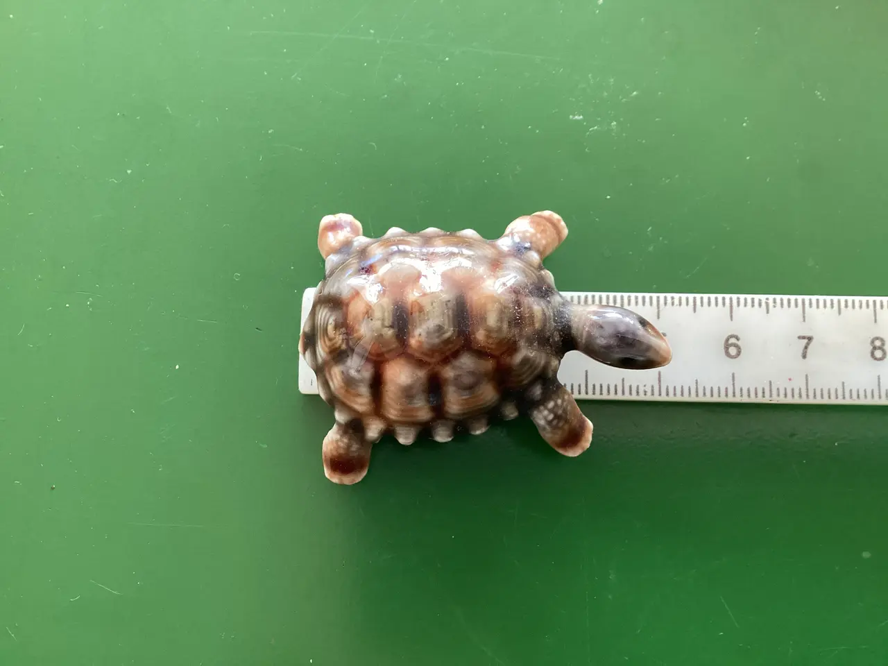 Billede 10 - 2 små Wade porcelæns skildpadder