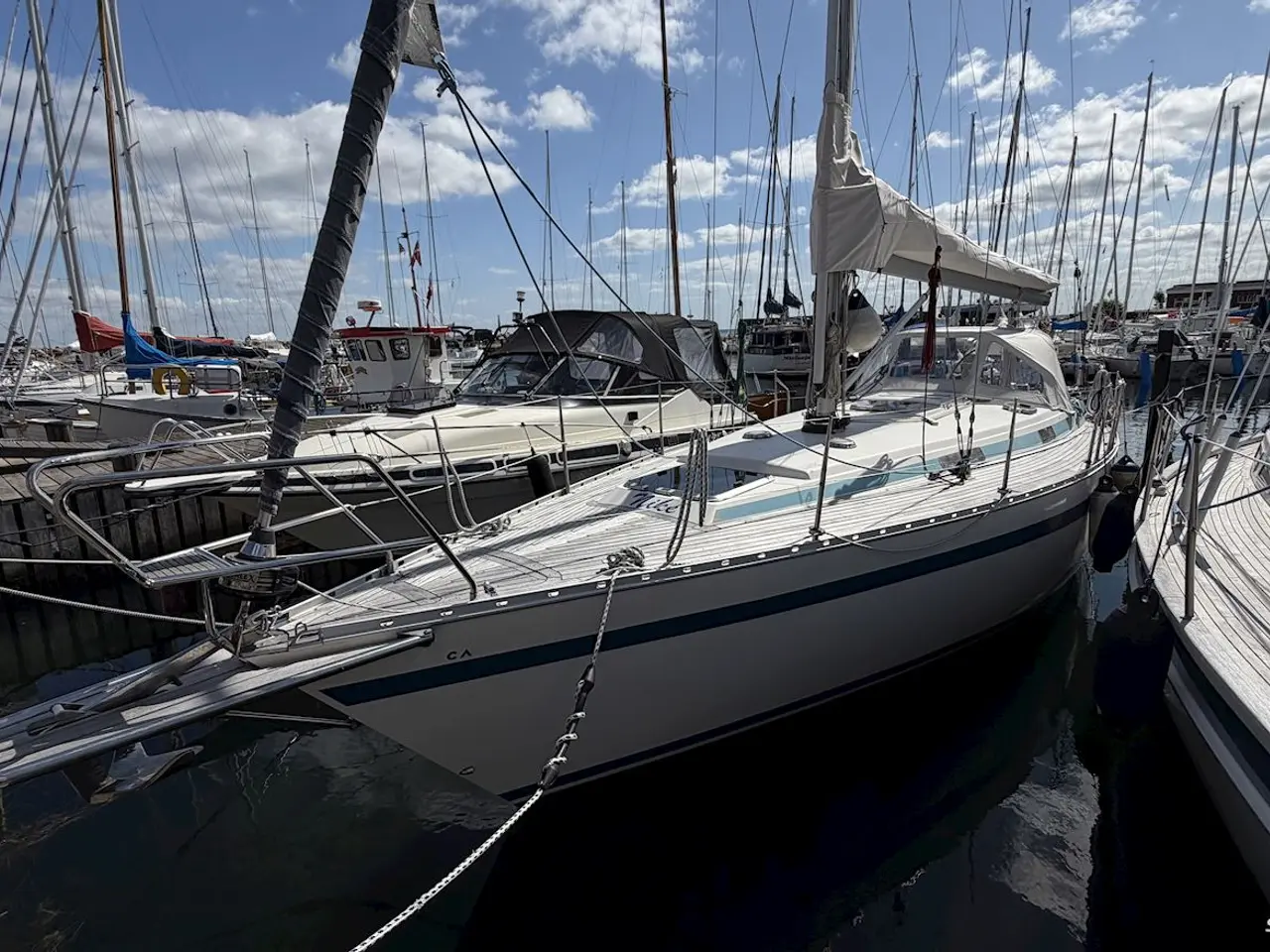 Billede 5 - Bianca 107
