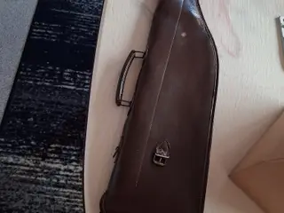 Skinke 