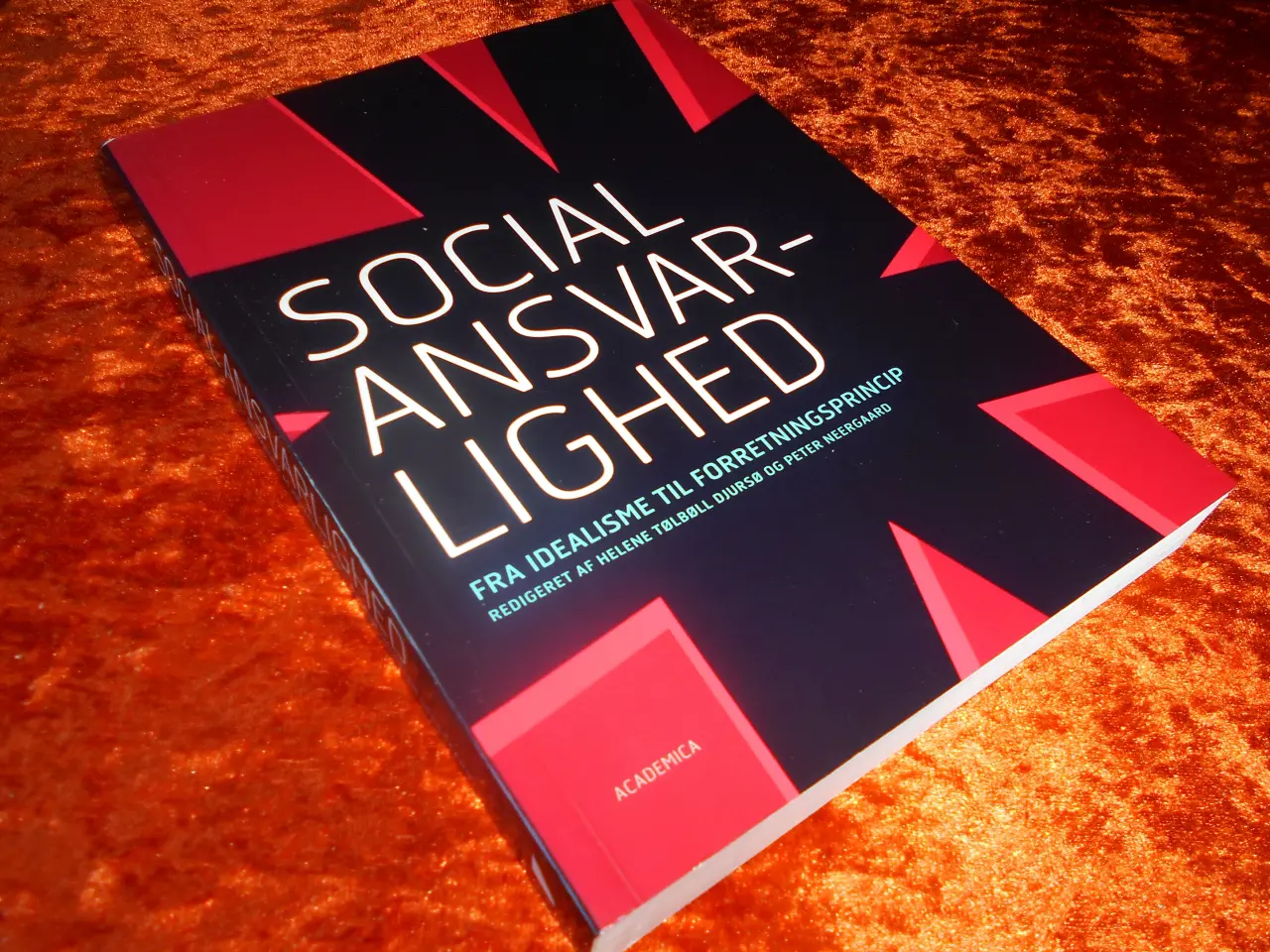 Billede 1 - Social ansvarlighed, Helene Tølbøll Djursø m.fl.