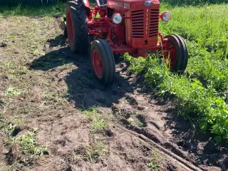 Bukh 302 super