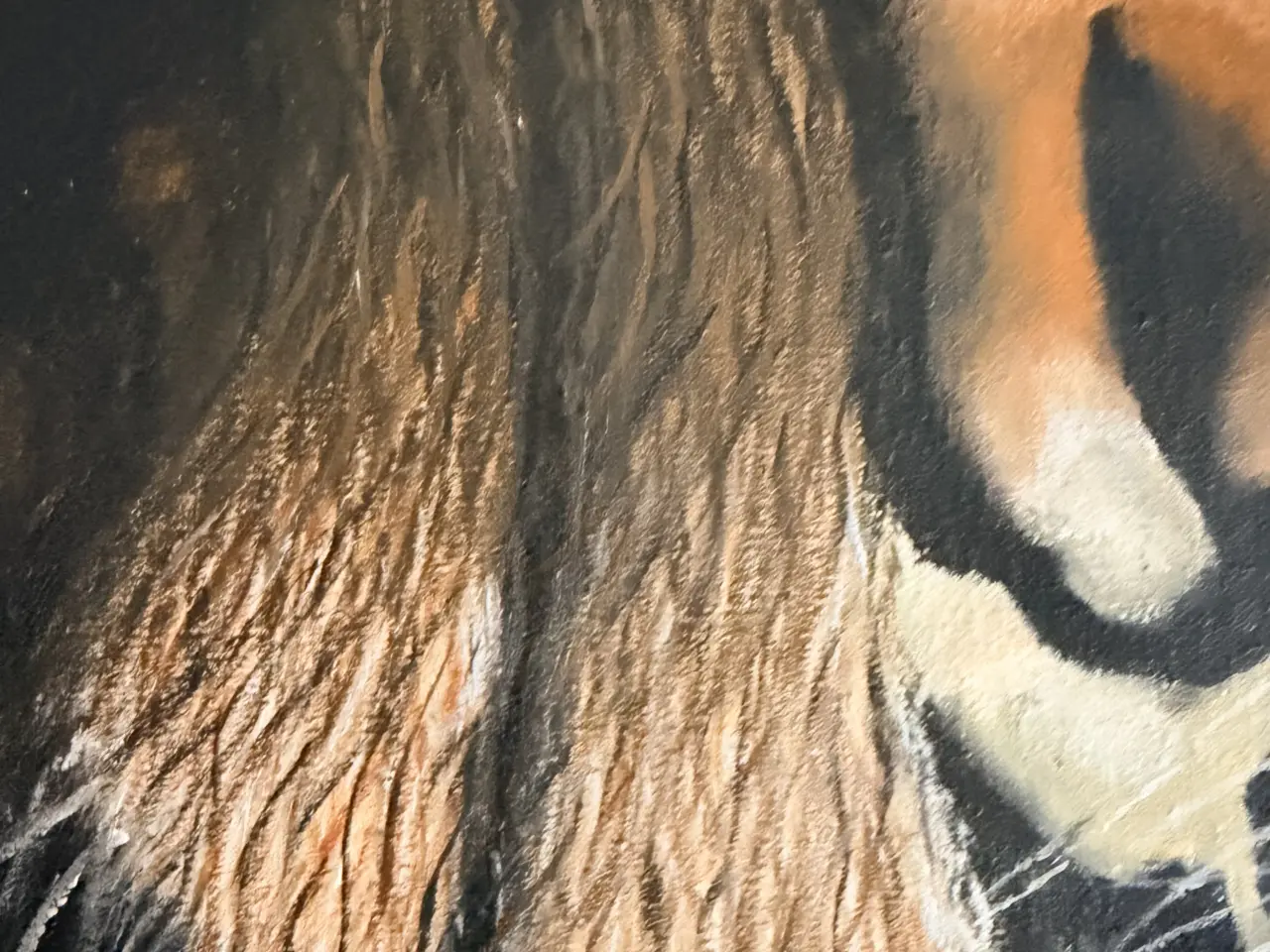 Billede 5 - 🐅Den Majestætiske Tiger