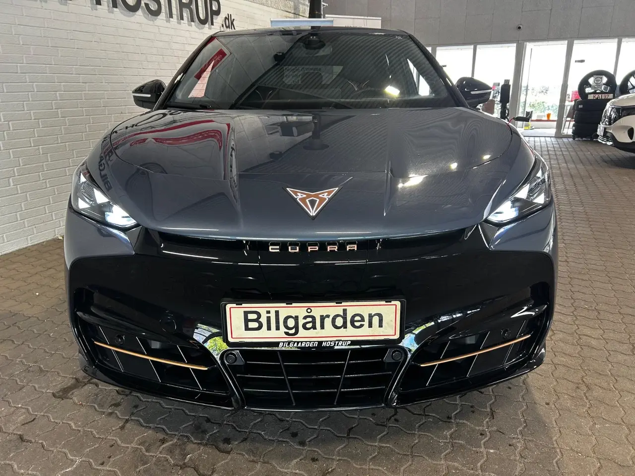 Billede 2 - Cupra Tavascan 77 Endurance