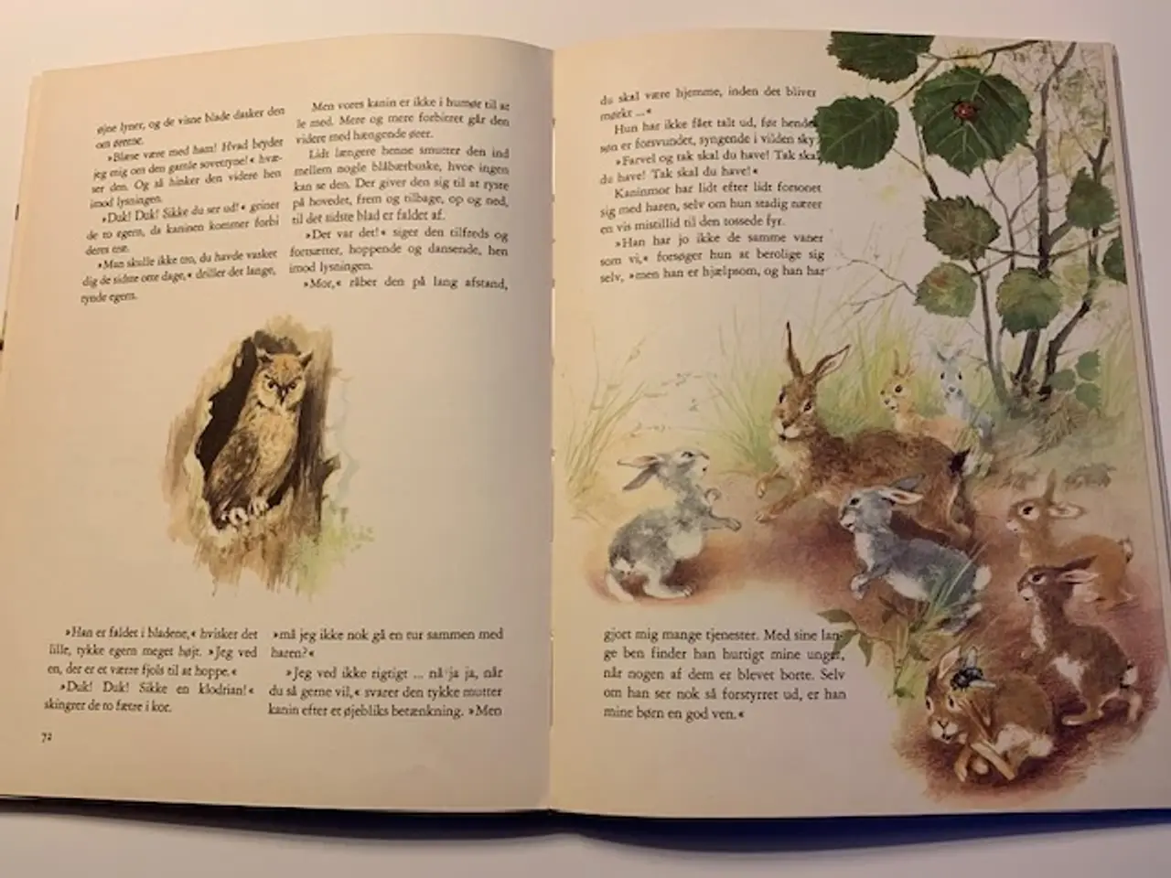 Billede 6 - Haren og den lille kanin på eventyr - illustreret
