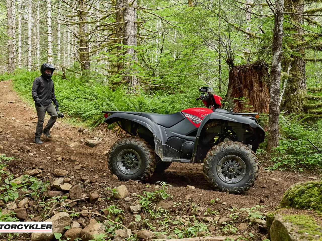 Billede 3 - Yamaha Grizzly 700 EPS Traktor