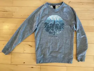 Trøje / sweatshirt Str. 164