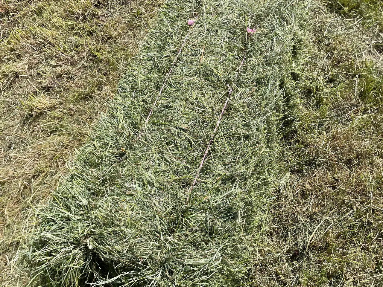 Billede 2 - Wrap i småballer 