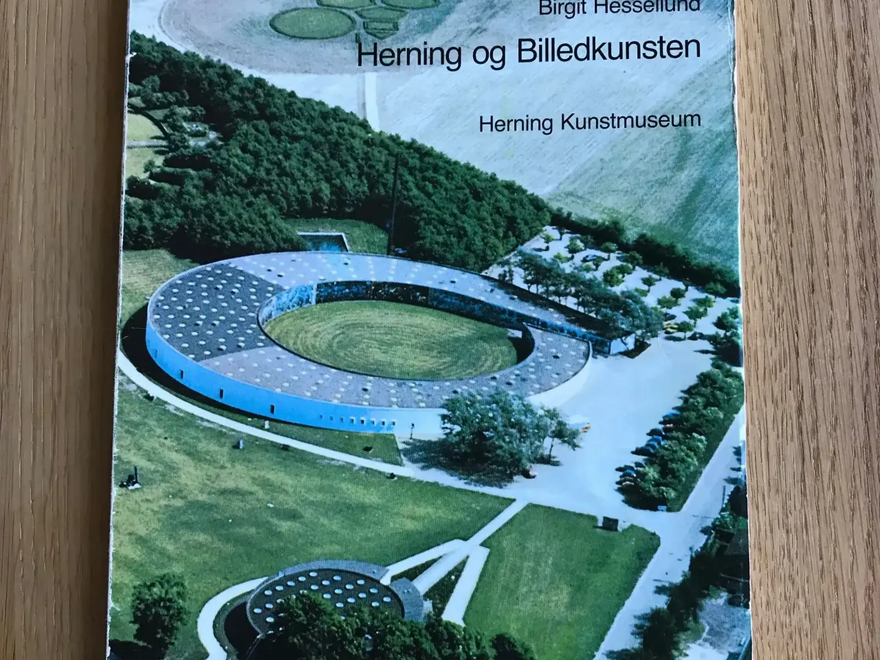 Billede 1 - Herning og Billedkunsten