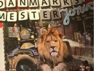 Danmarks mester junior