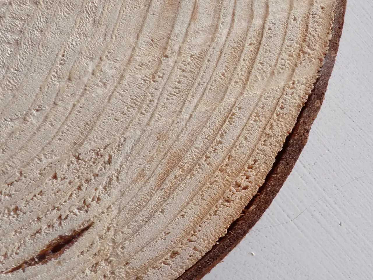 Billede 5 - NY Træskive Rødgran med bark 36,5 cm