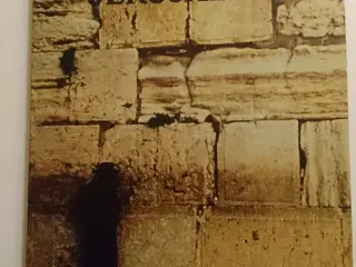 Tigger i Jerusalem Af Elie Wiesel