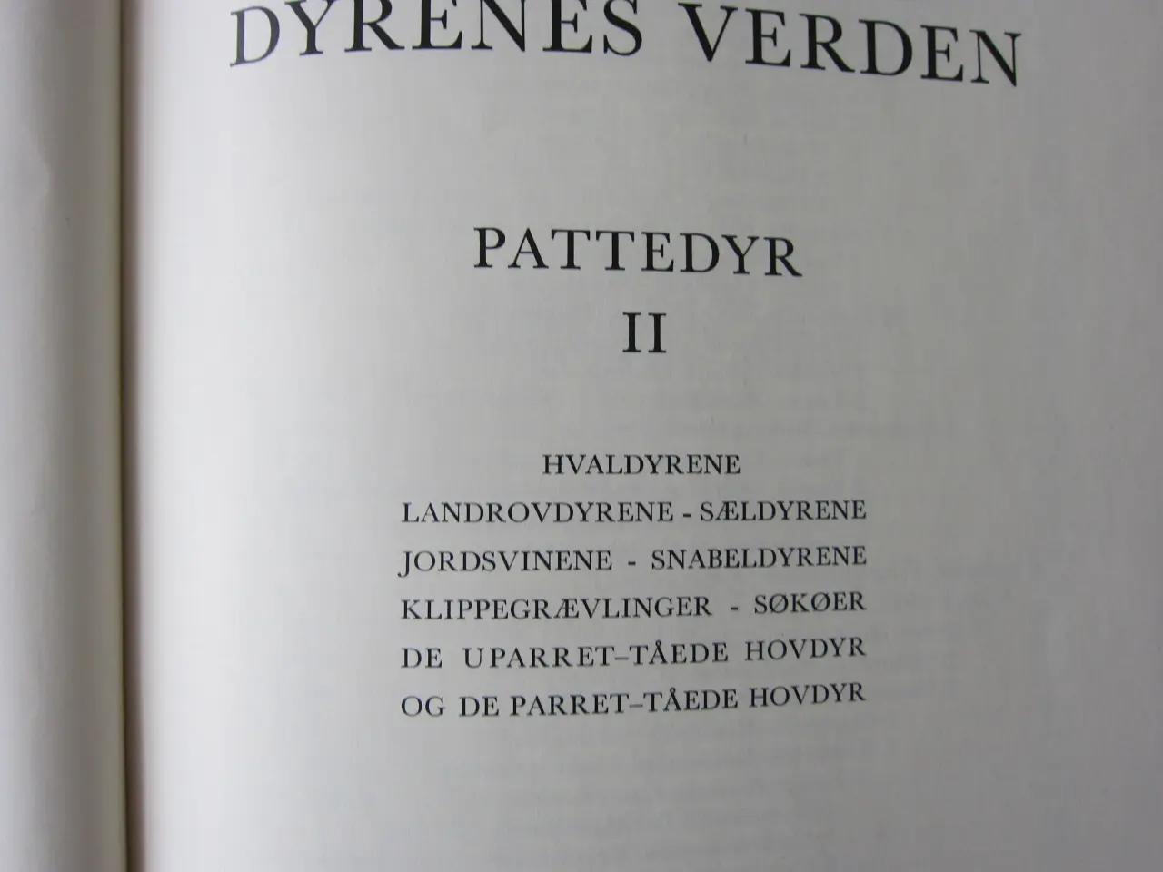 Billede 7 - Leksikon - Dyrenes Verden