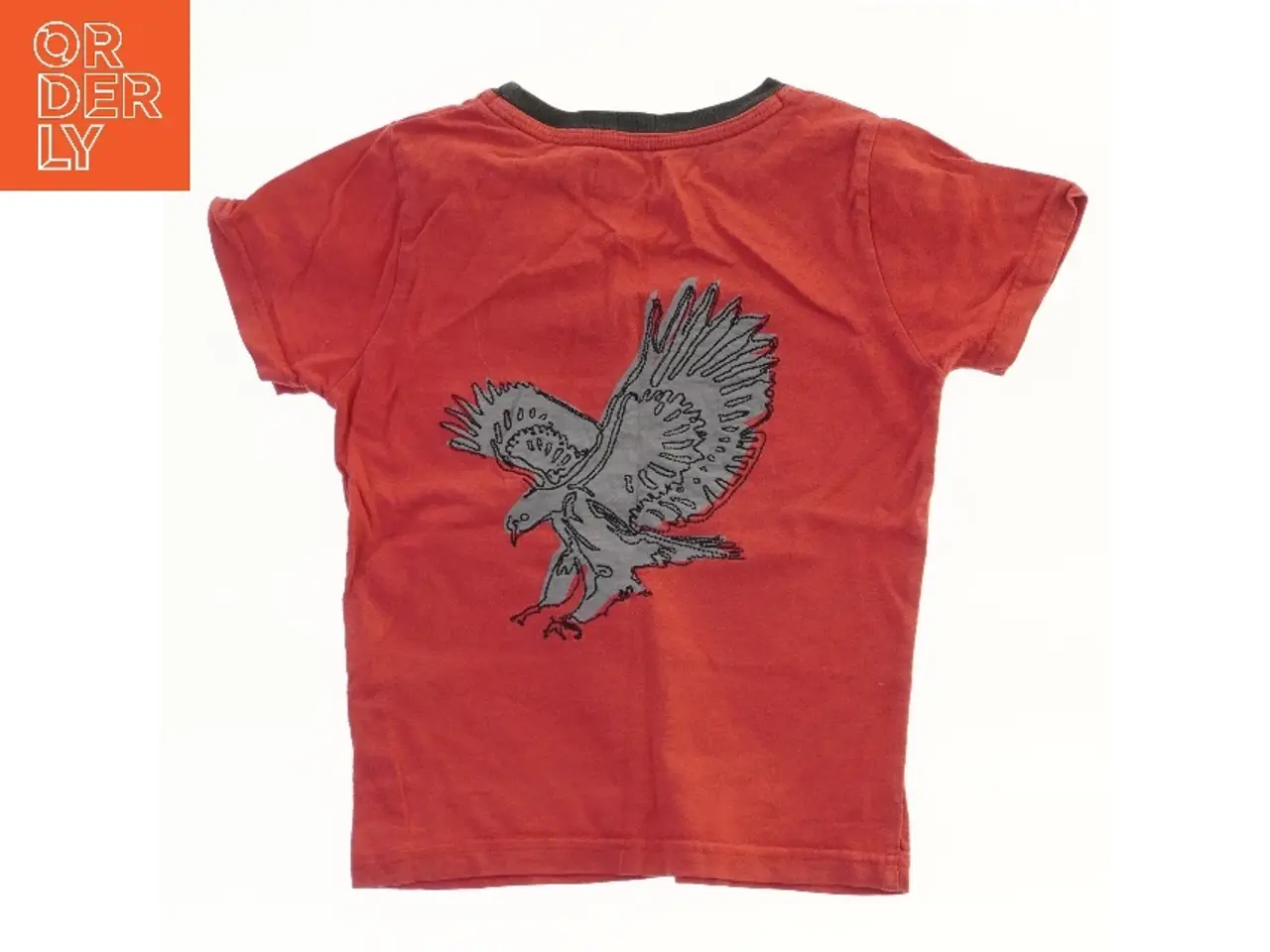 Billede 2 - Børne T-shirt med ørnebillede fra Cottonfield (str. 98)