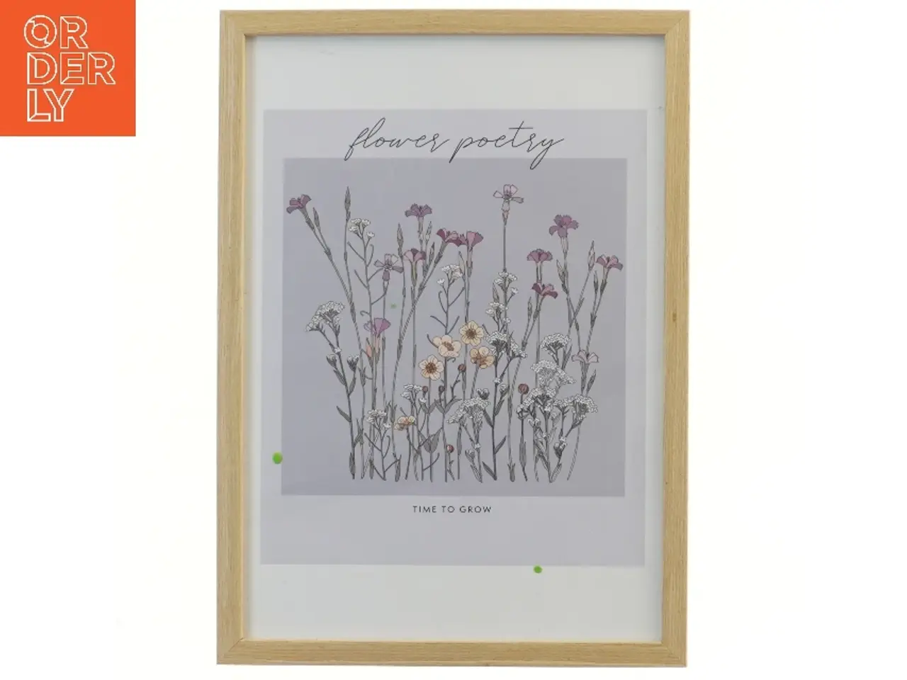 Billede 1 - Billedramme med blomstermotiver fra Jysk (str. 32x23 cm)
