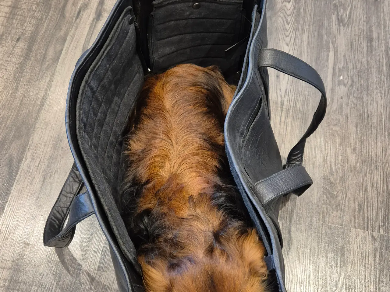 Billede 4 - Næsten ny Muud læderhundetaske