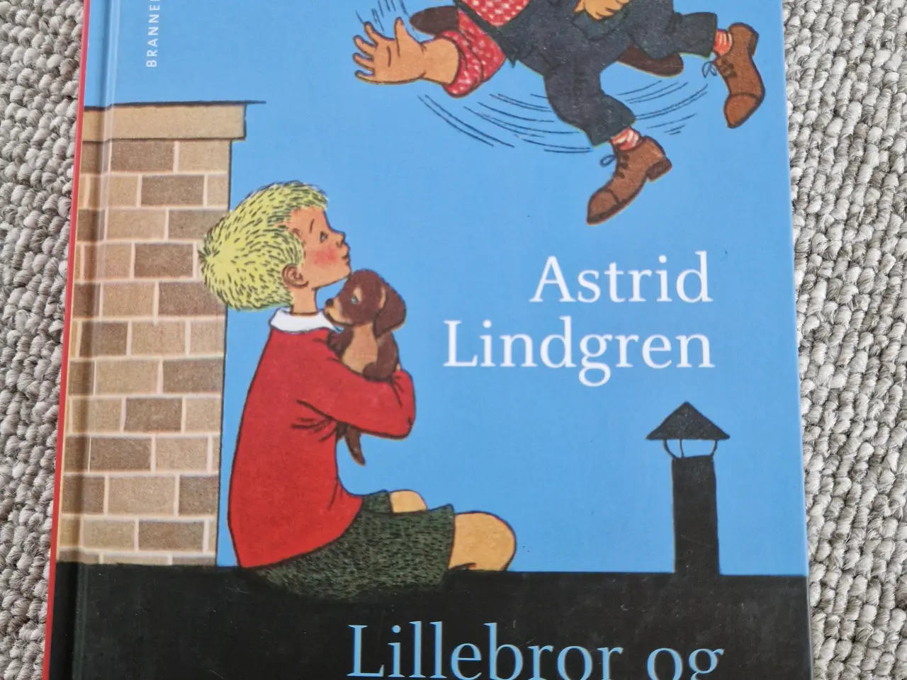 Billede 1 - Lillebror og Karlsson på taget