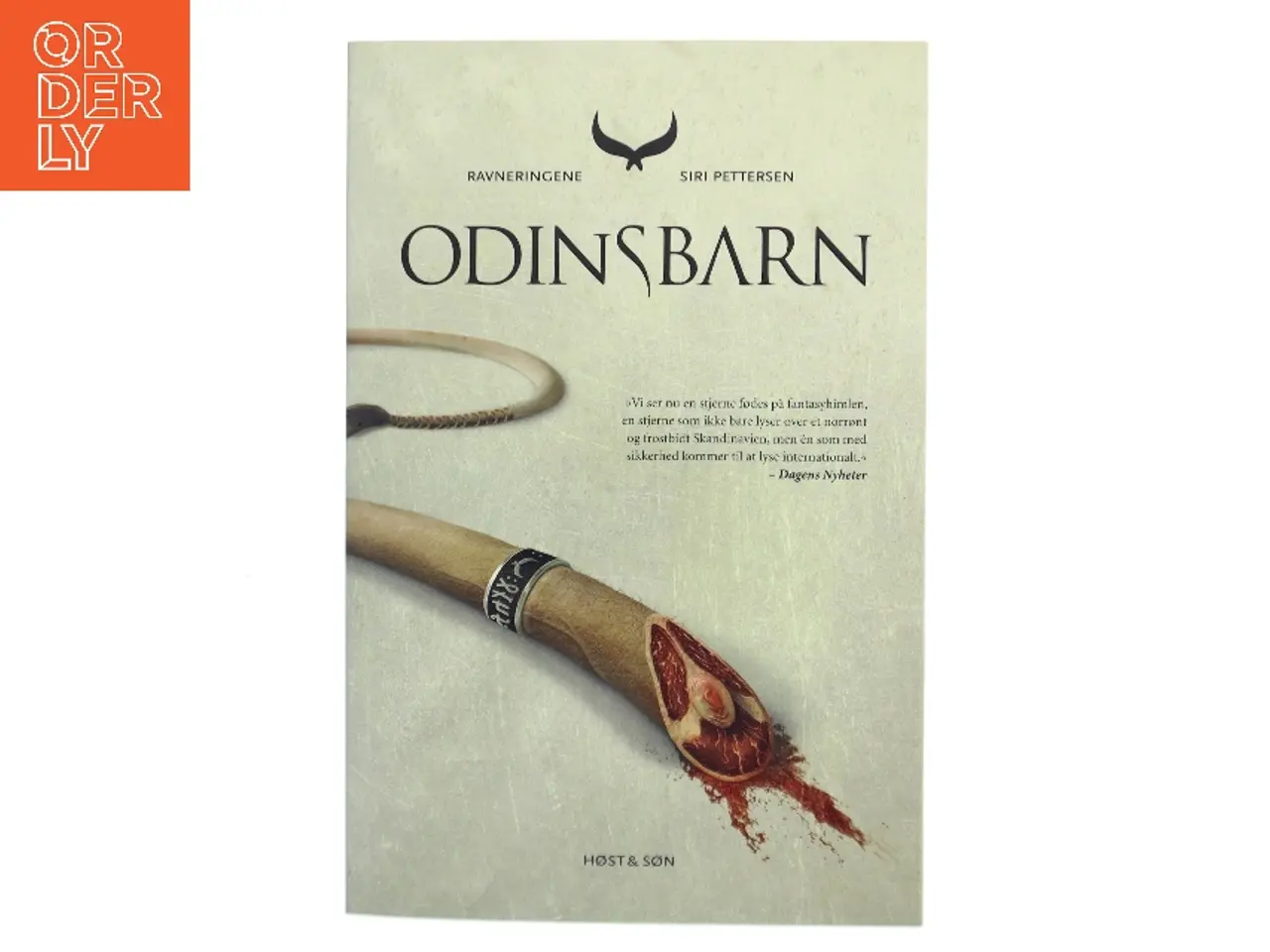 Billede 1 - Odinsbarn af Siri Pettersen (Bog)