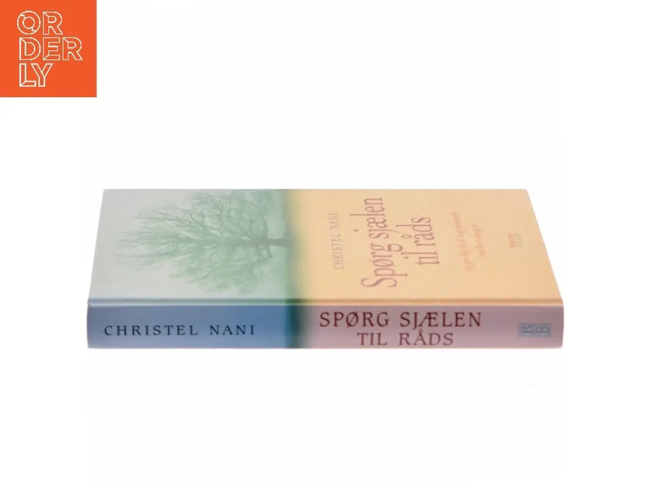 Billede 2 - Spørg sjælen til råds af Christel Nani (Bog)