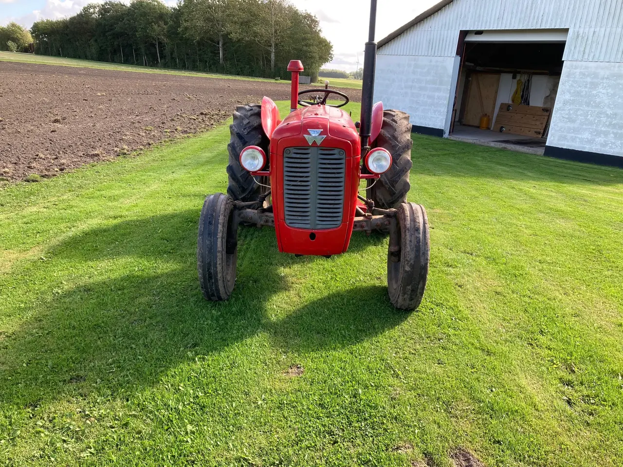 Billede 3 - Massey Ferguson 35 m. 2 furet 12" plov