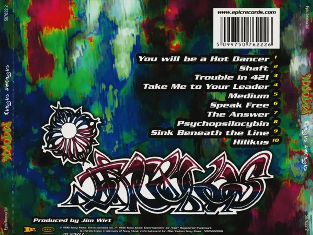 Billede 2 - Incubus – Fungus Amongus – CD