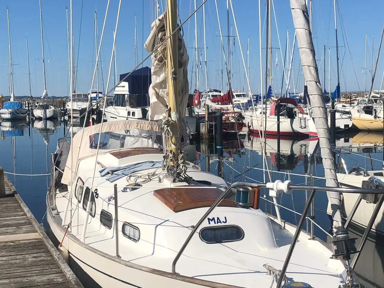 Billede 2 - Bianca 27