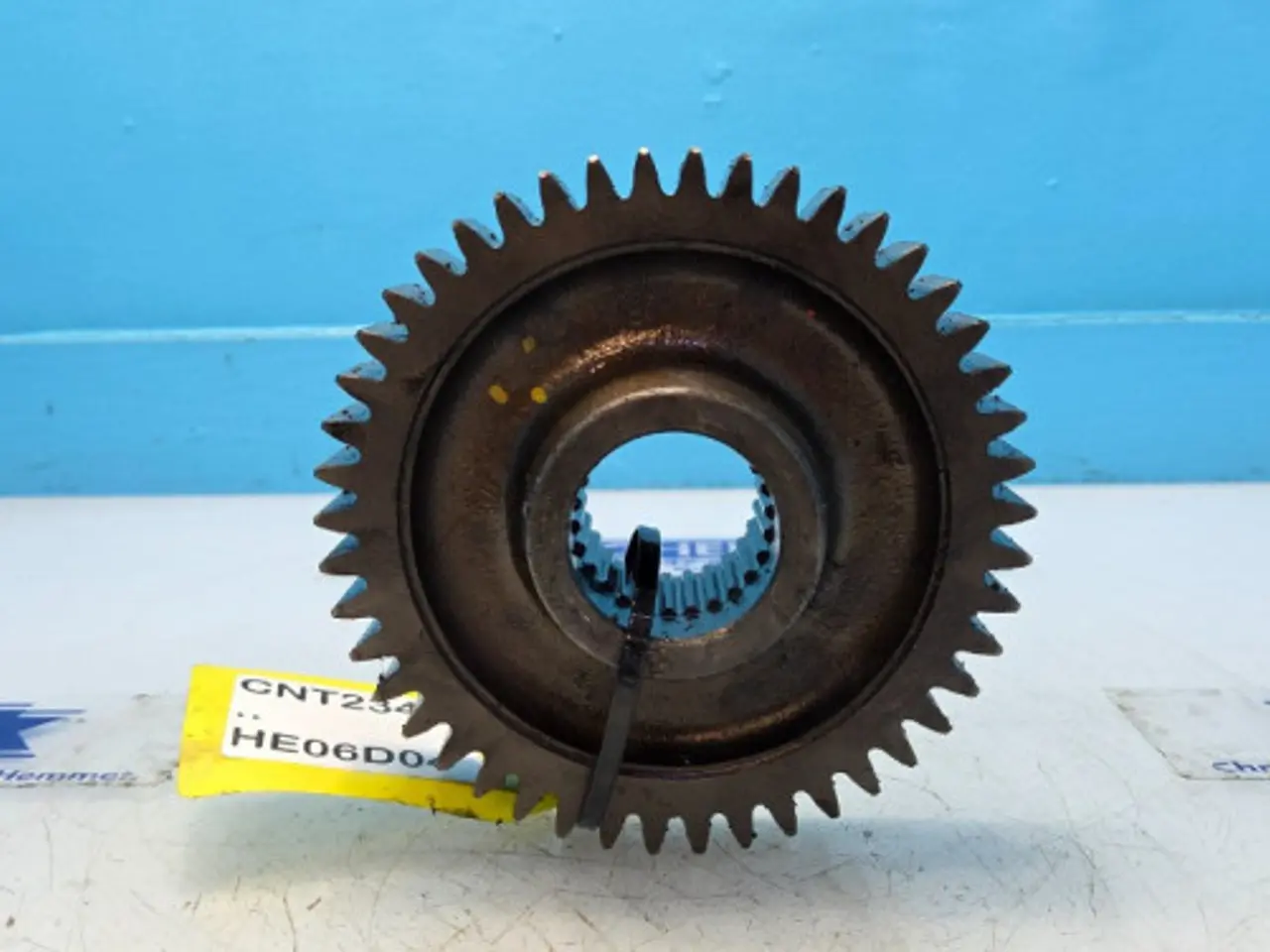 Billede 6 - Claas Axion 840 Gear 0011343310