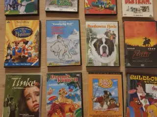 DVD Film