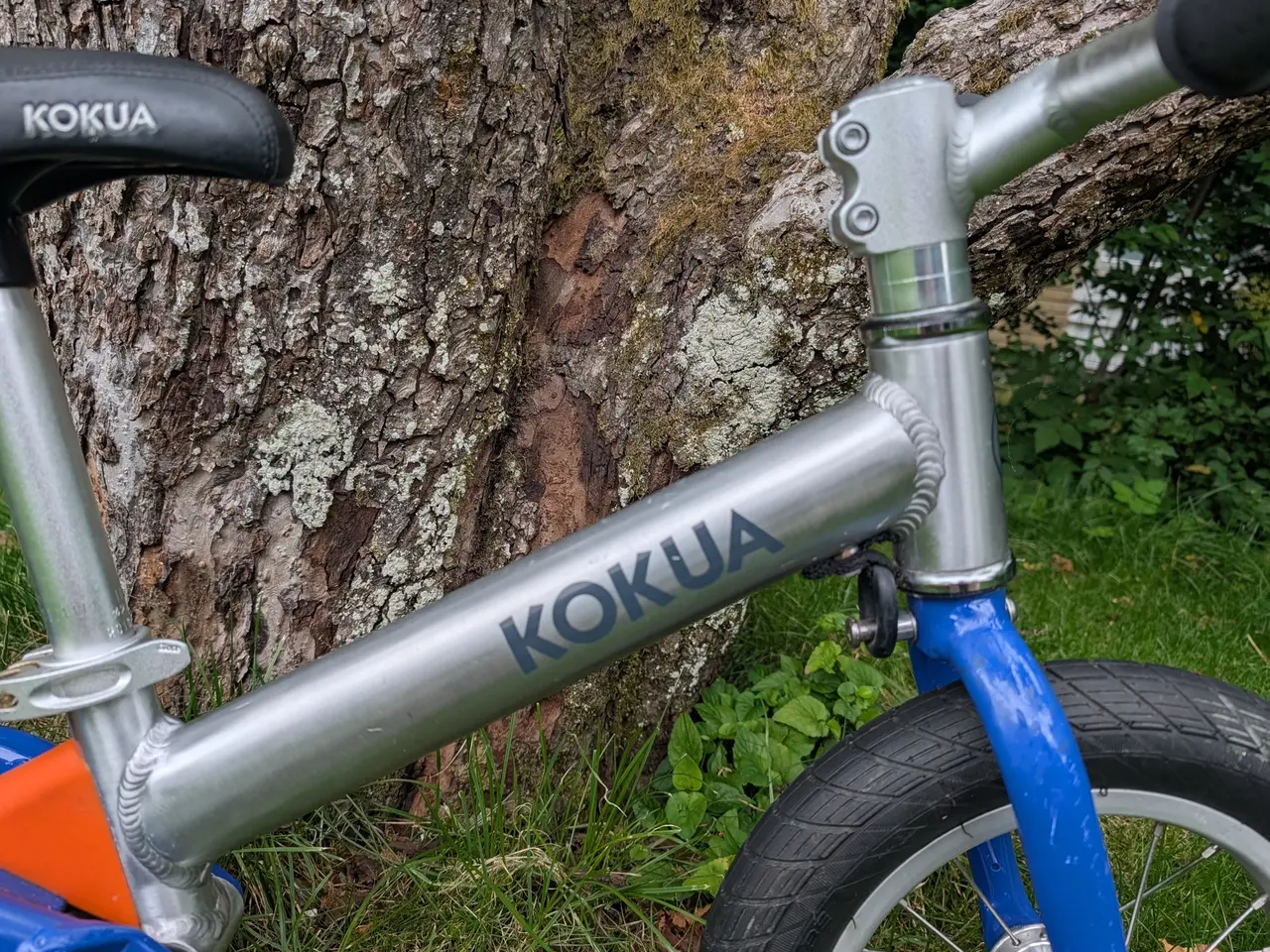 Billede 5 - Kokua LIKEaBIKE Jumper løbecykel
