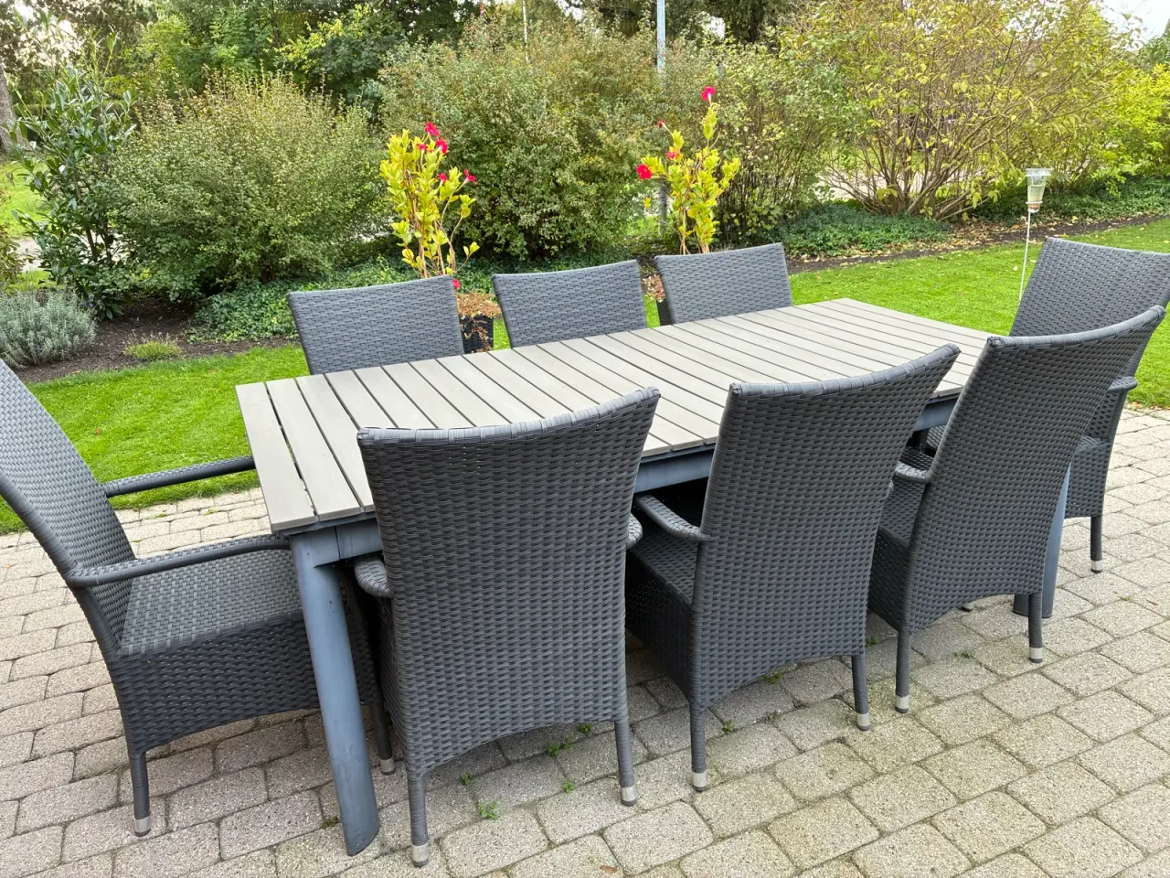 Billede 1 - Havebord med 8 stole 