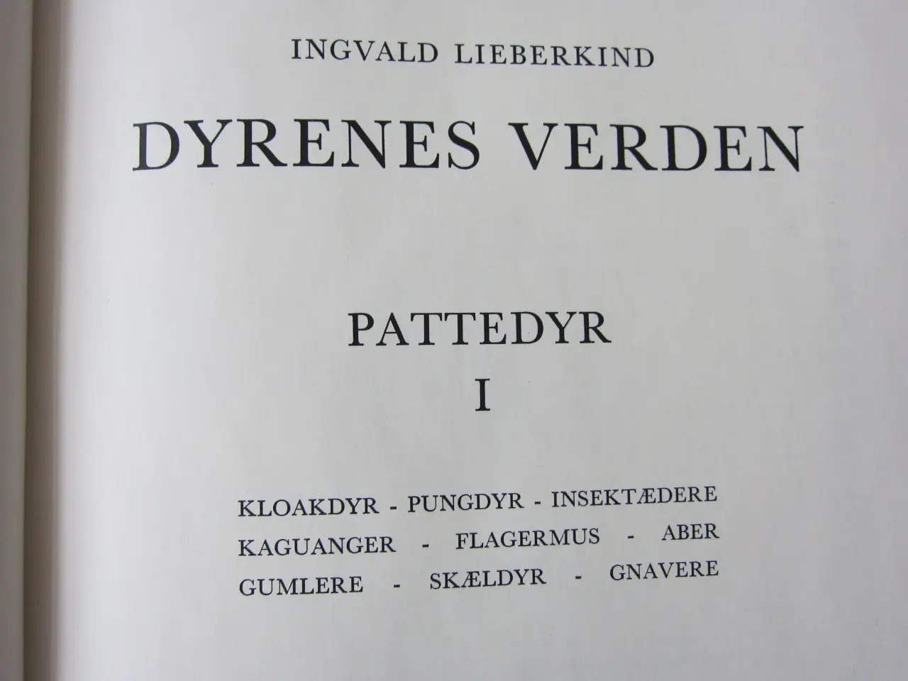 Billede 6 - Leksikon - Dyrenes Verden