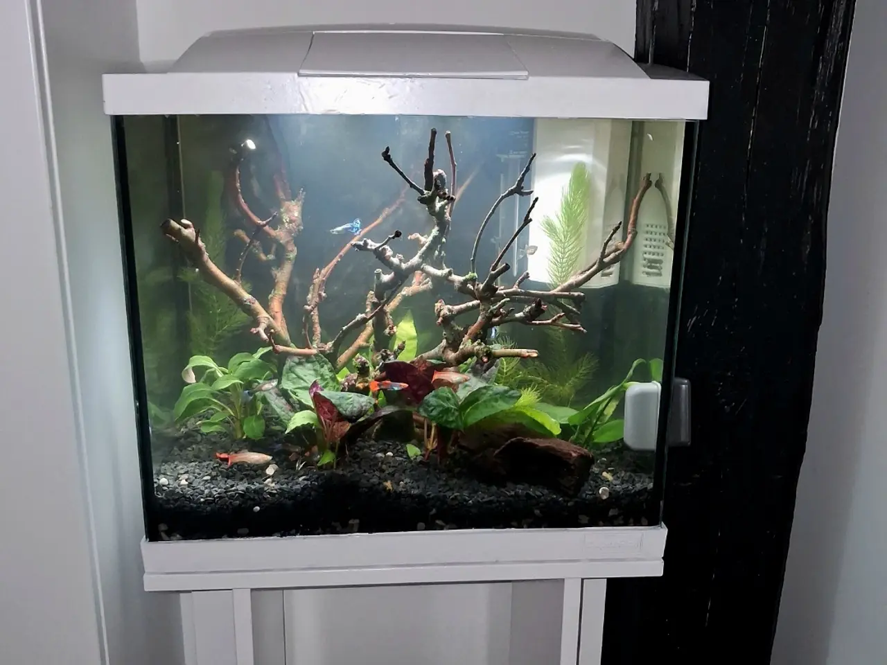 Billede 2 - 40 l akvarie med bord