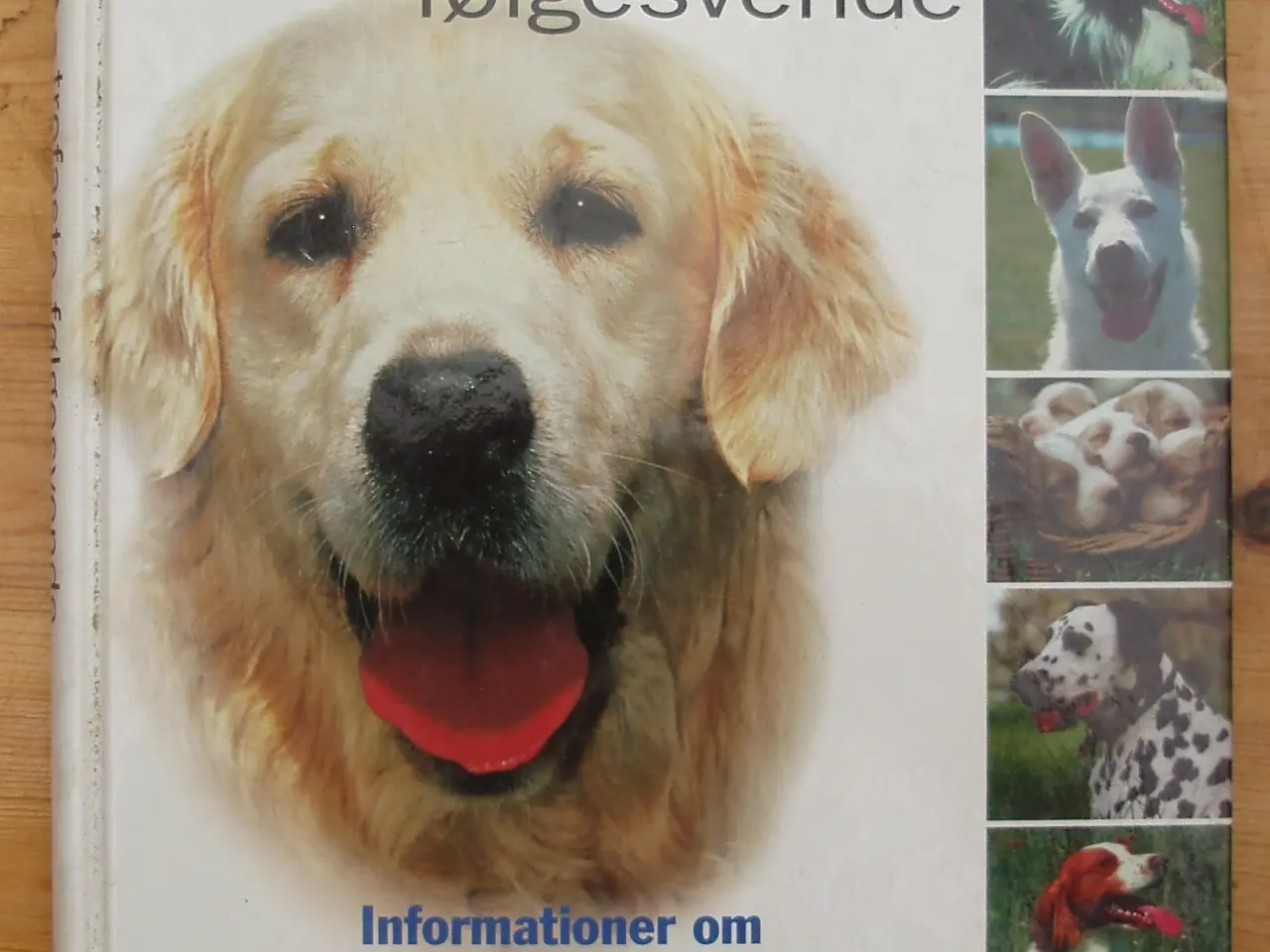 Billede 1 - Hunde trofaste følgesvende