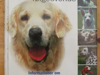 Hunde trofaste følgesvende