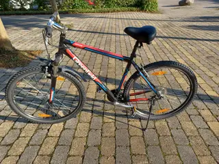 En velholdt Greenfield mountainbike