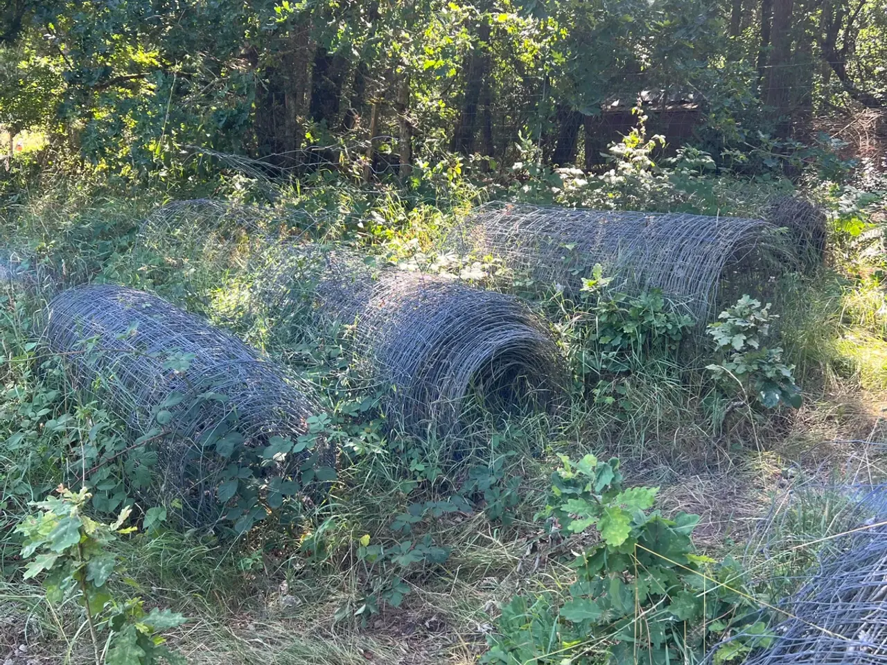 Billede 2 - Vildthegn 160 cm