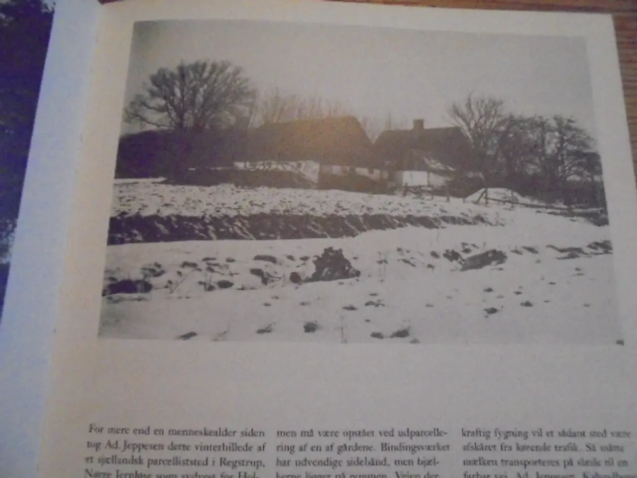 Billede 2 - Gamle danske bøndergårde – se fotos og omtale
