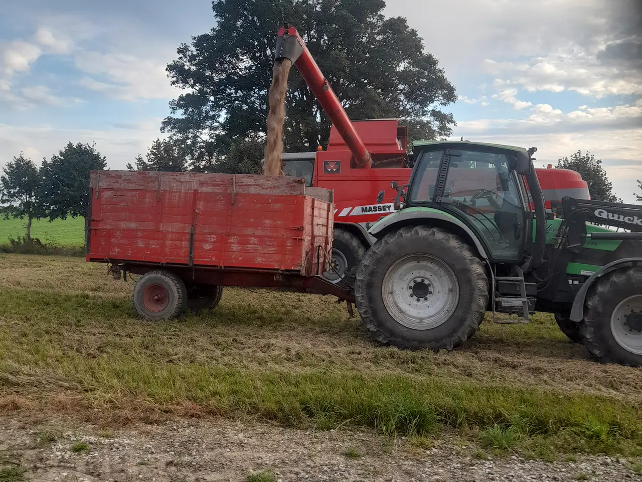 Billede 7 - Masser Ferguson 7270 Beta