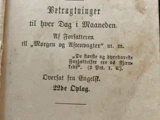 Det nye testamente og den trofaste forjætter 1907