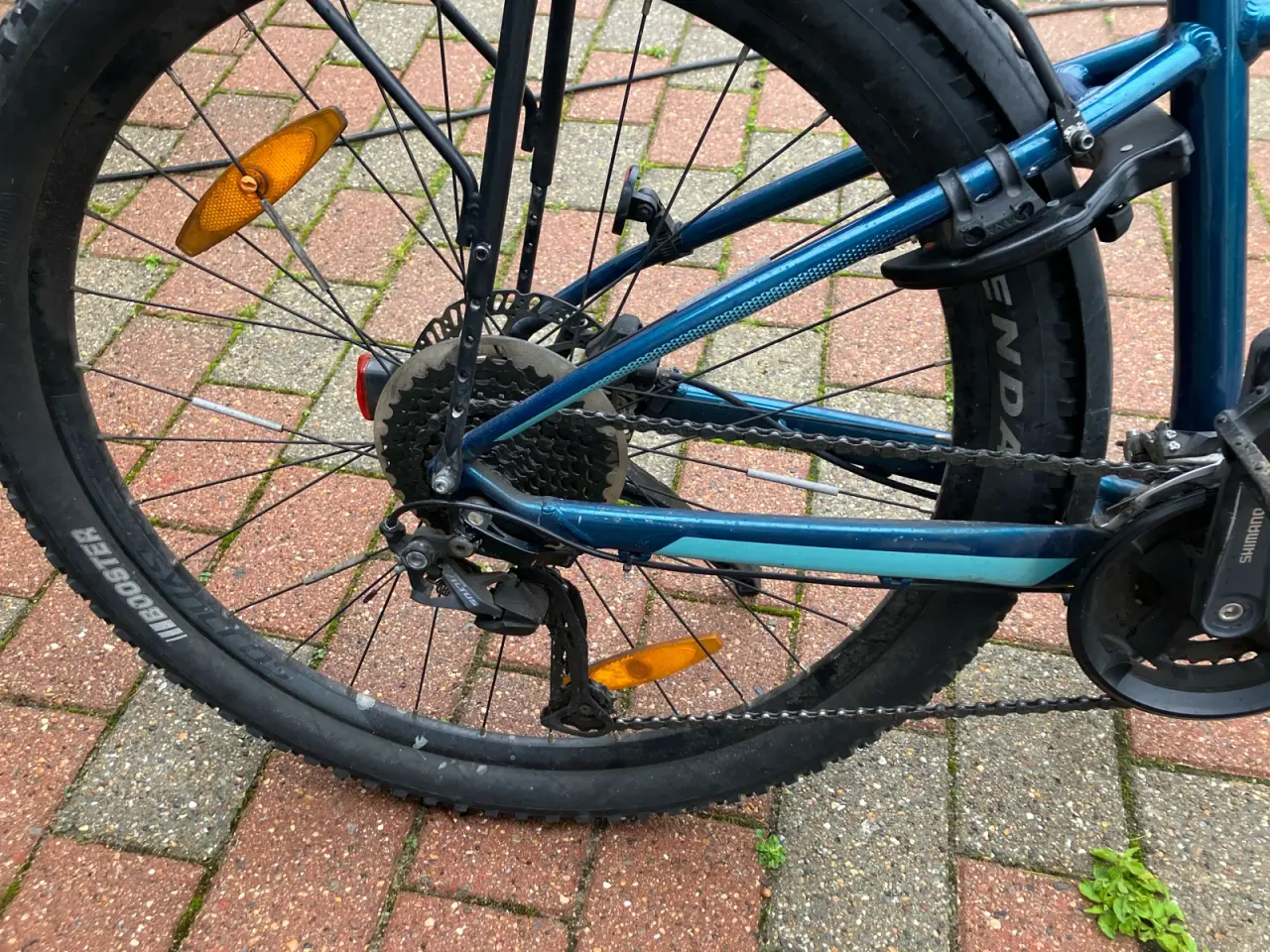 Billede 6 - Scott Active Contessa 40 XS