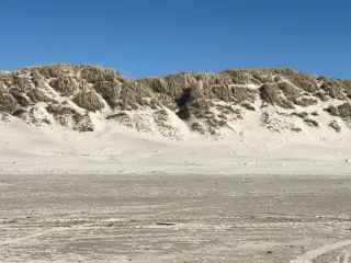 Luksus Sommerhus Blåvand