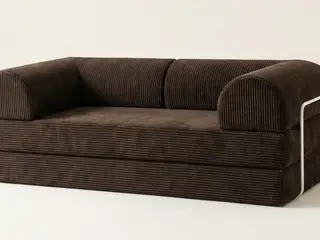 Helt Ny 2 personers sovesofa