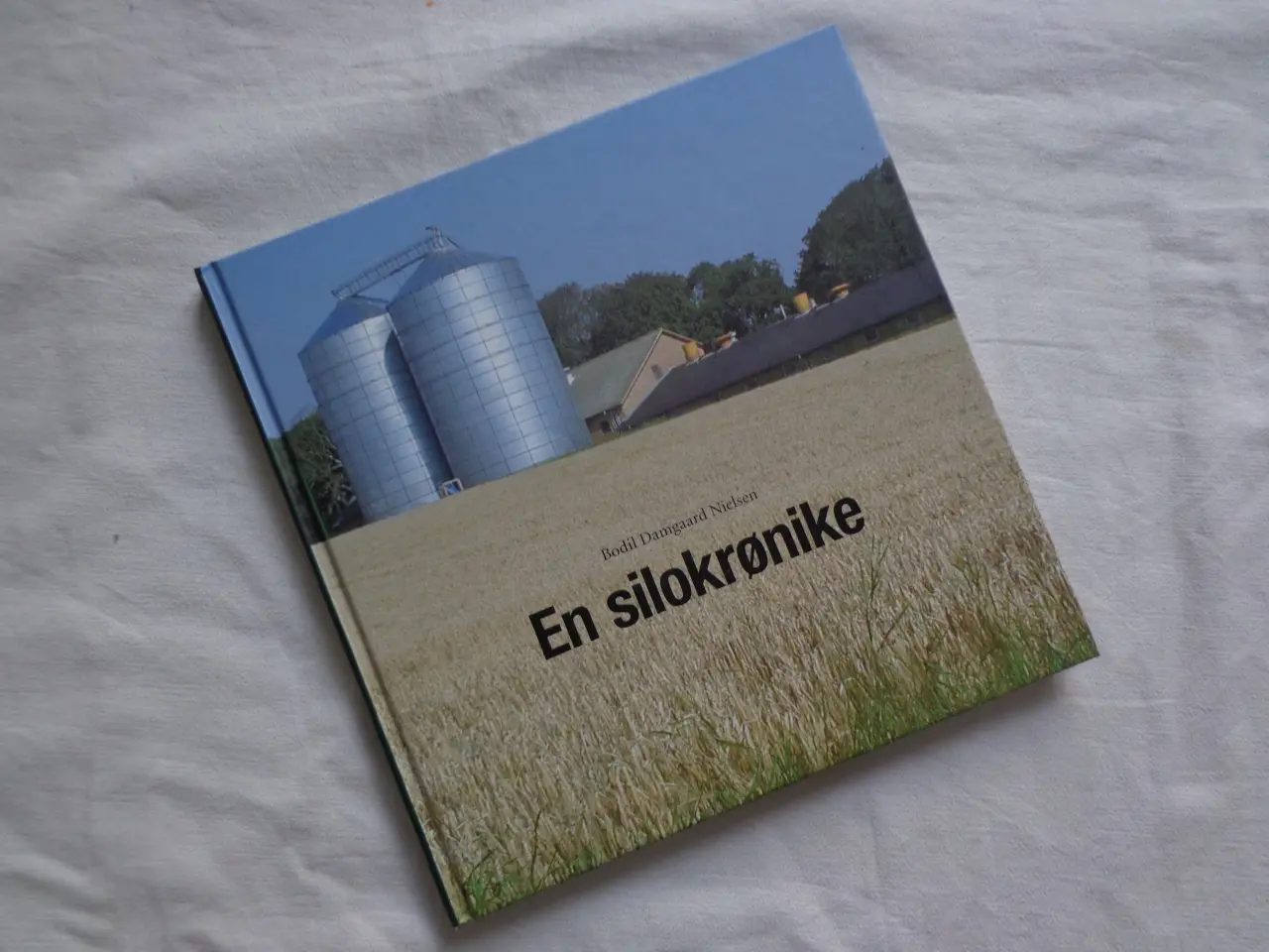 Billede 1 - En Silo Krønike  :