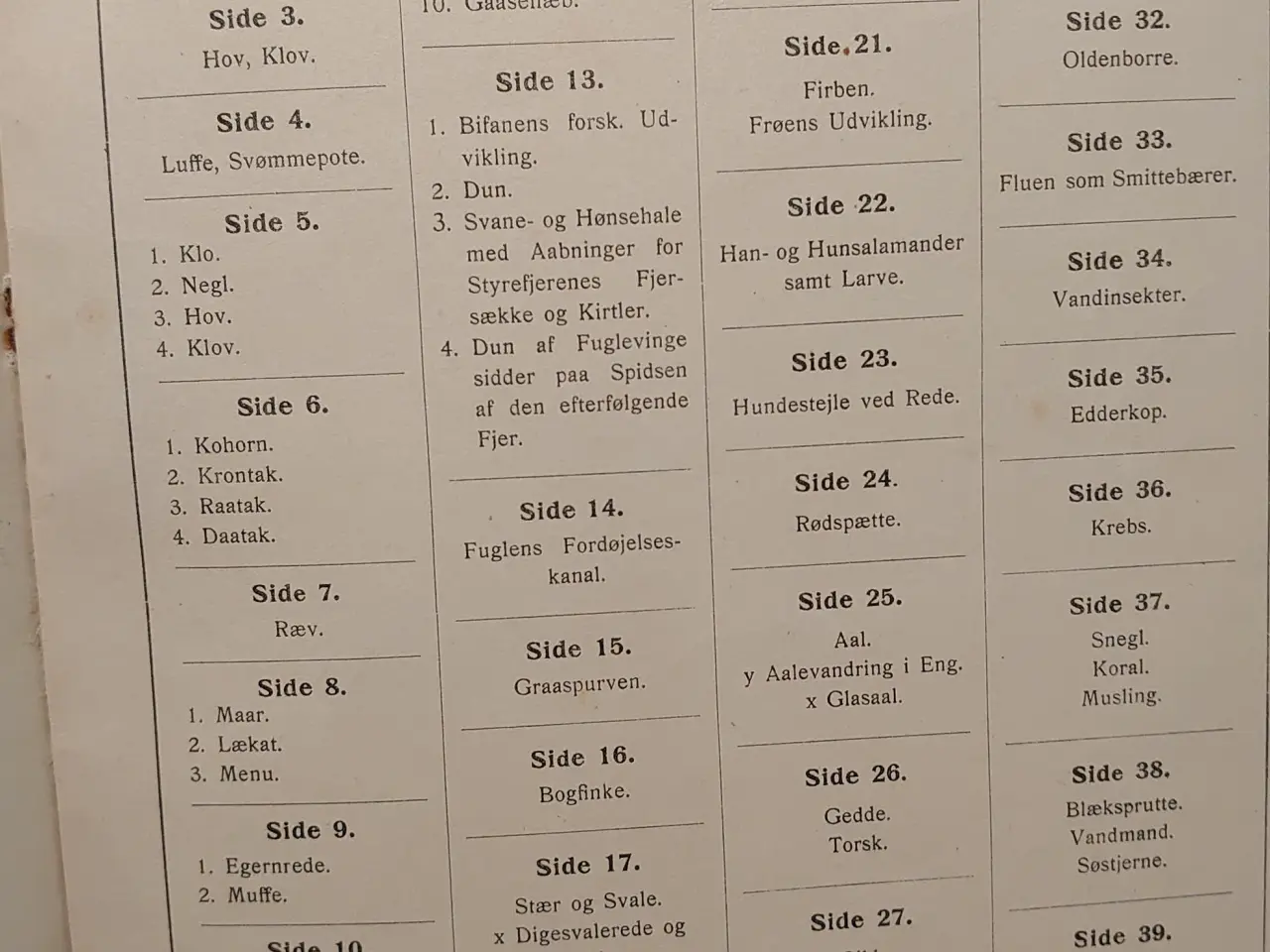 Billede 5 - Ejnar Gjessing: Zoologi.Fagillustrering 3. 1916