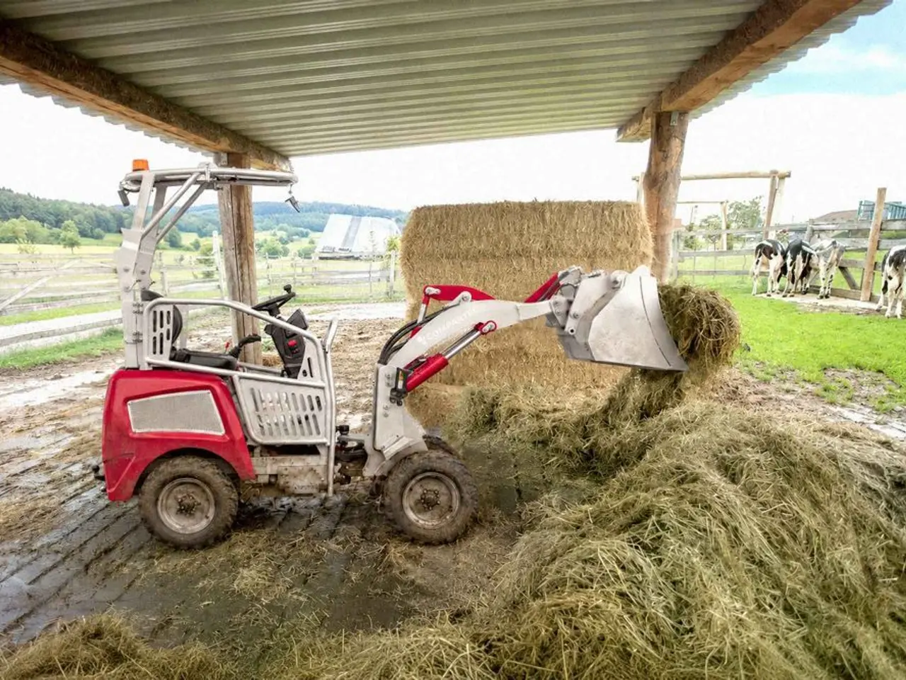 Billede 4 - Weidemaster Pro elektrisk minilæsser - 800 kg