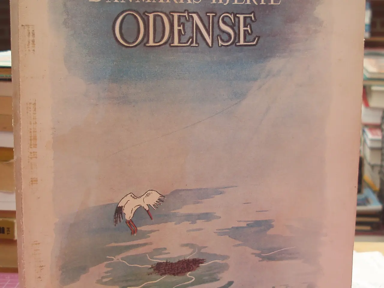 Billede 1 - Danmarks hjerte Odense