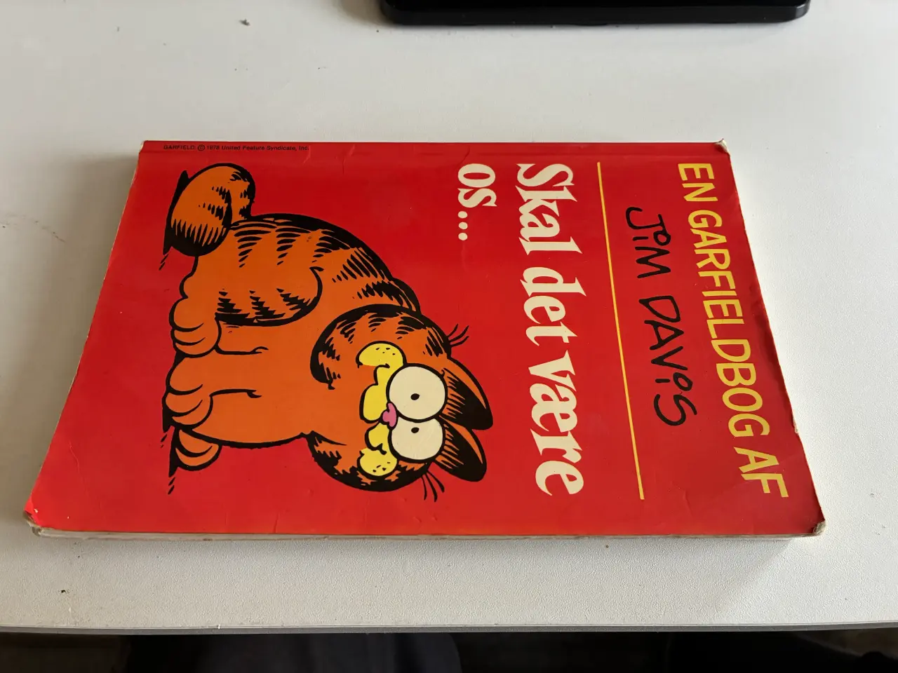 Billede 1 - Garfield Skal det være os