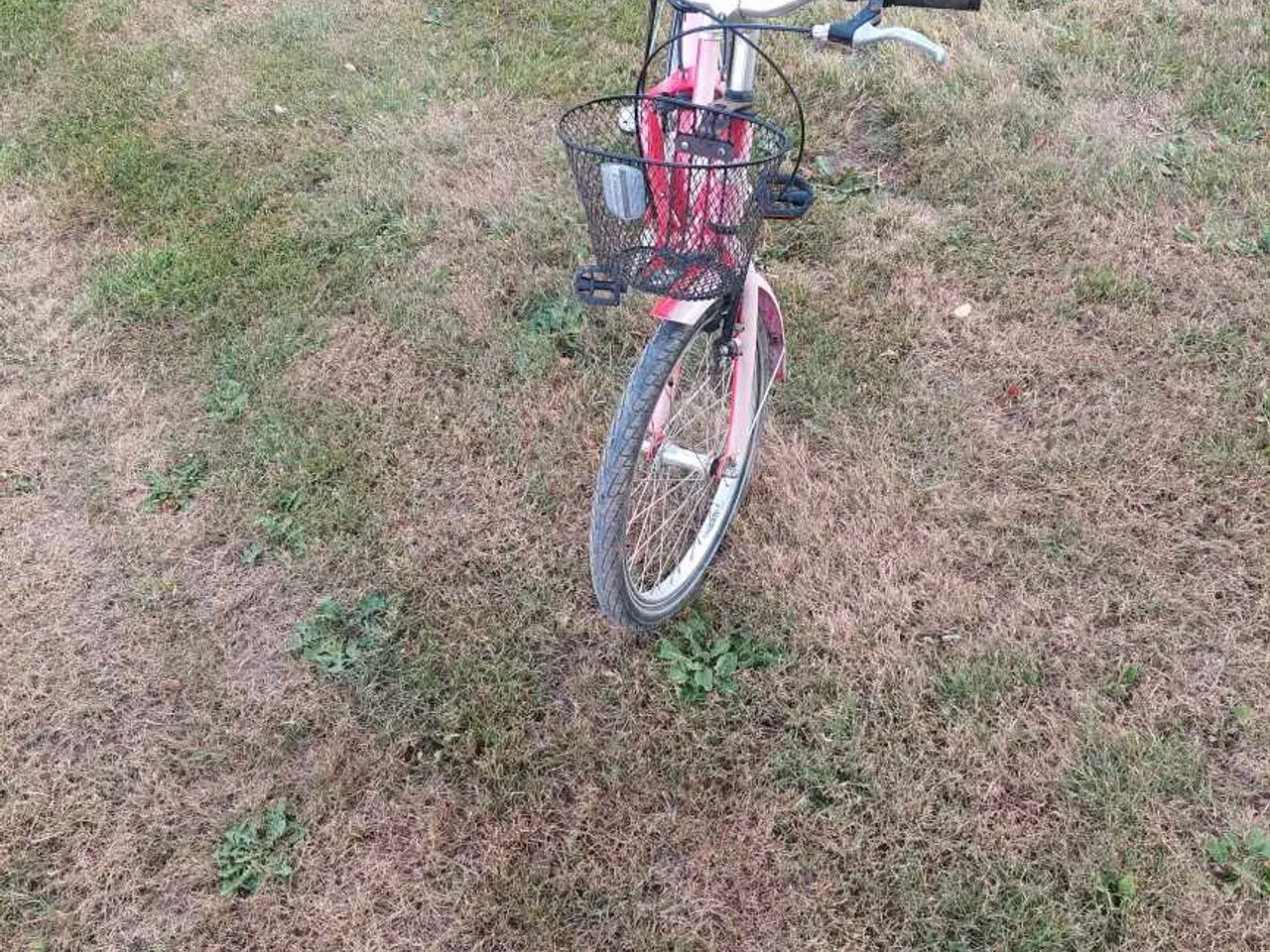 Billede 3 - Everton - Nostalgic pigecykel