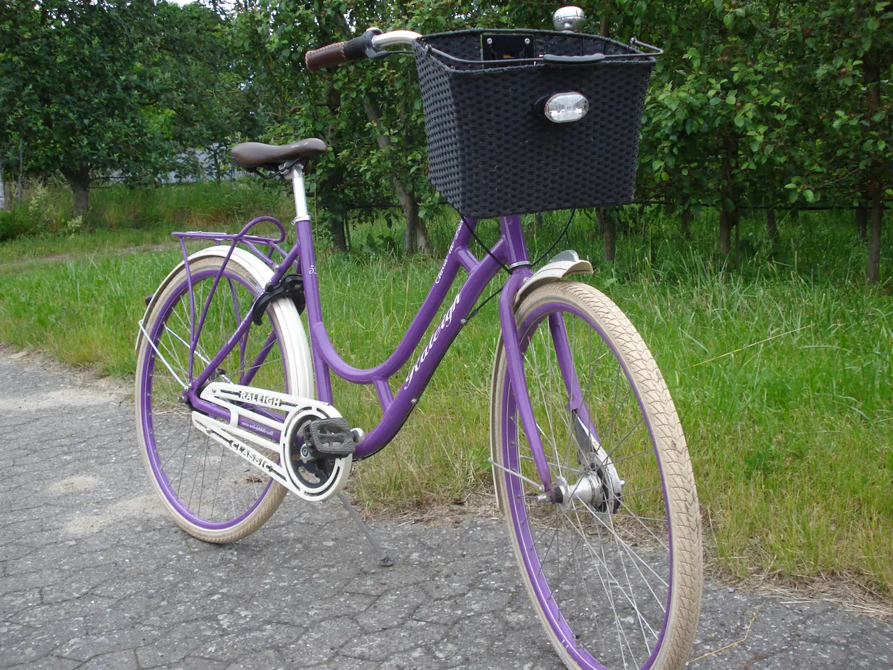 Billede 6 - Cykel til pige/dame, Raleigh classic de luxe