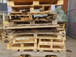 Gratis Paller træ